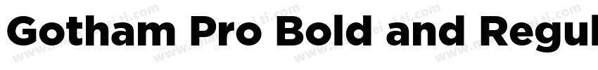 Gotham Pro Bold and Regular字体转换